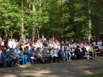 Następne zdjęcie