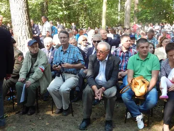 Poprzednie zdjęcie