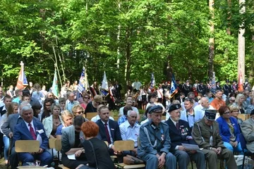 Następne zdjęcie