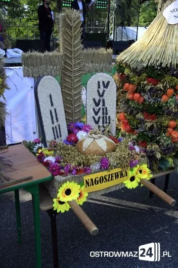 Następne zdjęcie