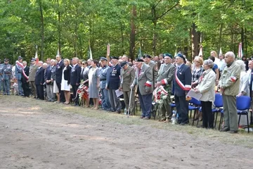 Następne zdjęcie
