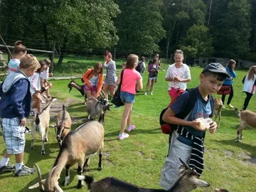 Następne zdjęcie