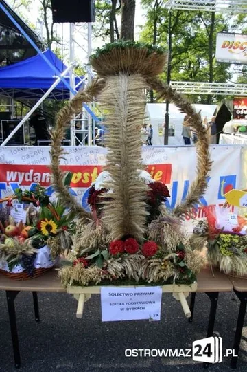 Poprzednie zdjęcie