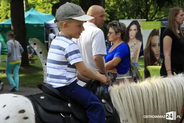 Poprzednie zdjęcie