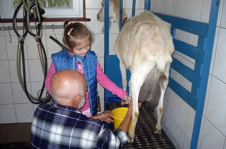 Agro-edukacyjne warsztaty integracyjne (zdjęcia)