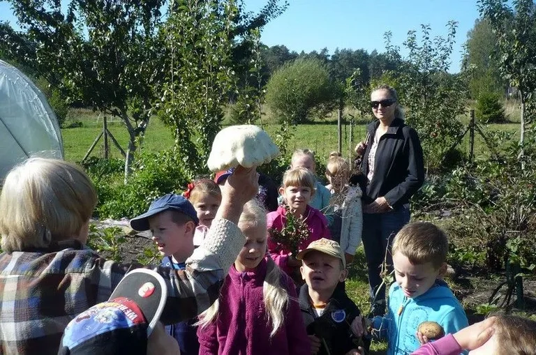 Agro-edukacyjne warsztaty integracyjne (zdjęcia)