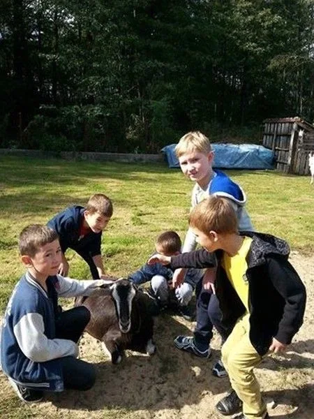 Agro-edukacyjne warsztaty integracyjne (zdjęcia)