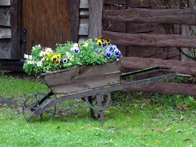 Agro-edukacyjne warsztaty integracyjne (zdjęcia)