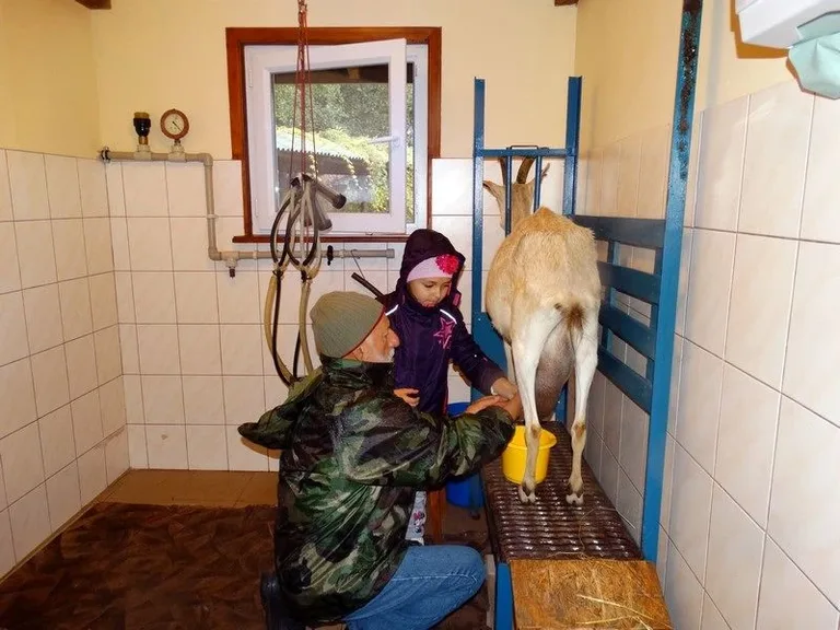 Agro-edukacyjne warsztaty integracyjne (zdjęcia)
