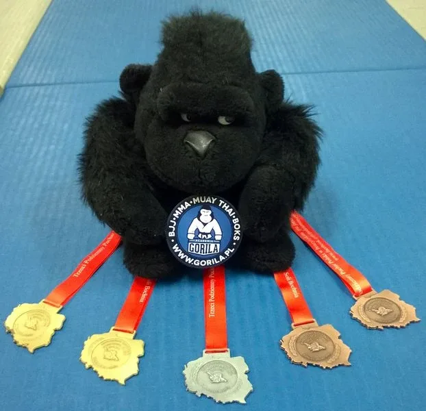 Academia Gorila z pięcioma medalami (zdjęcia)