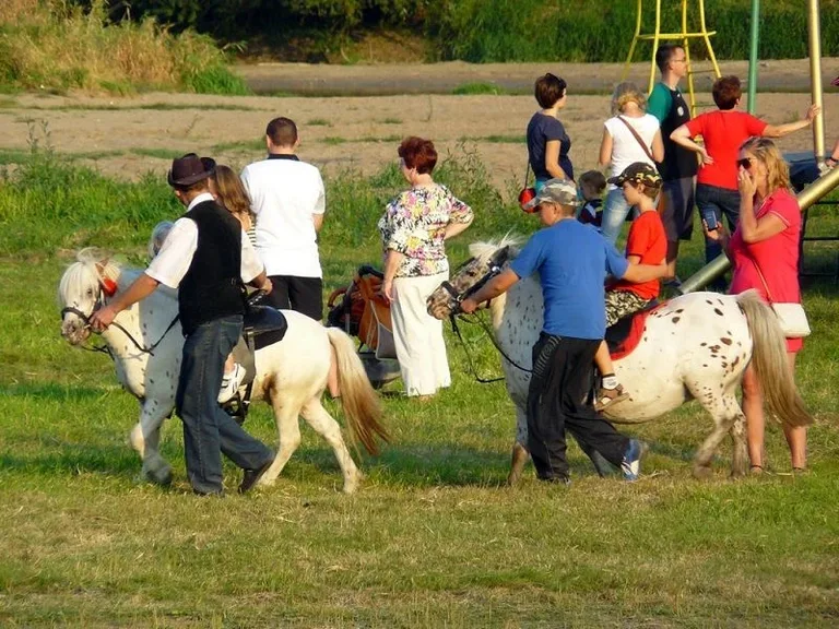 Brok pożegnał lato (zdjęcia)