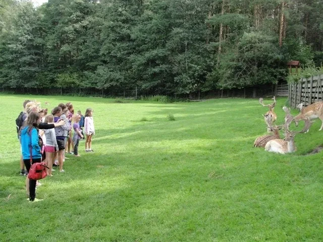 Wakacyjna wędrówka (zdjęcia)