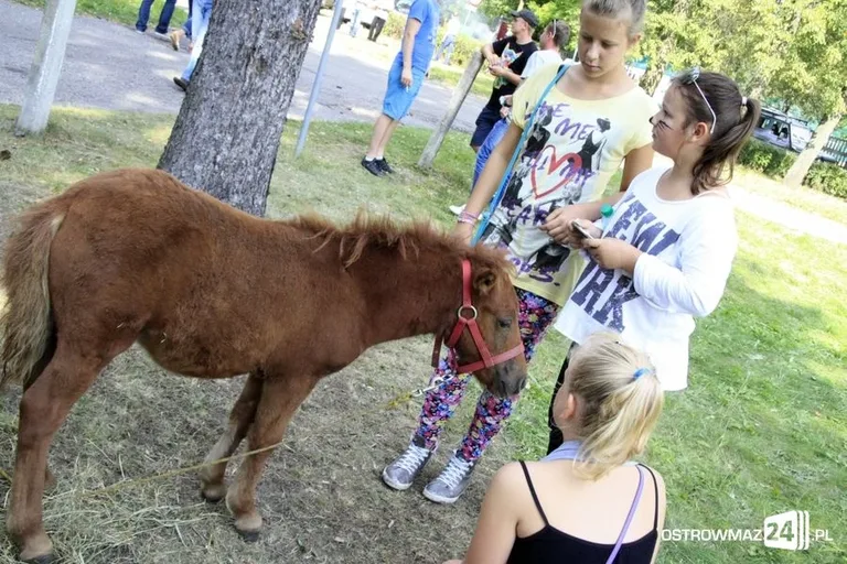 Trwają Dożynki Gminne w Komorowie (zdjęcia)