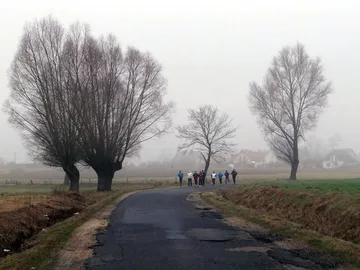 Następne zdjęcie