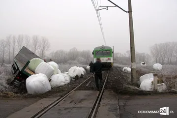 Poprzednie zdjęcie