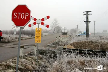 Następne zdjęcie