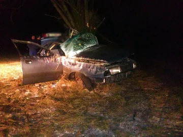 Jechał po pijanemu. Wylądował na drzewie (foto)