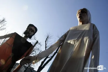 Poprzednie zdjęcie