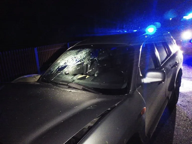 Stracił panowanie nad pojazdem (zdjęcia)