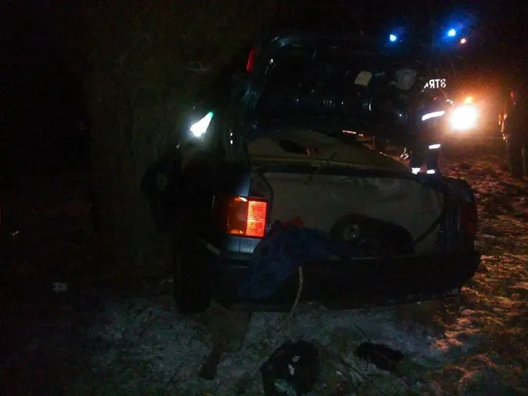 Jechał po pijanemu. Wylądował na drzewie (foto)
