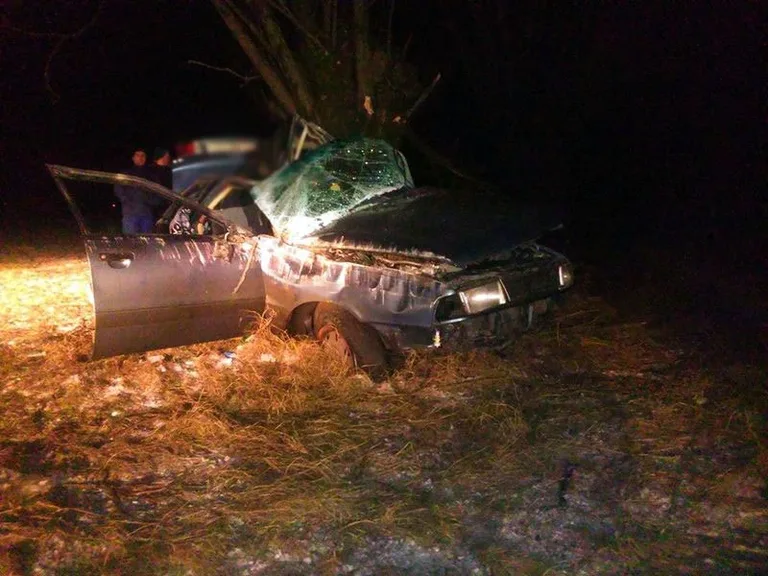 Jechał po pijanemu. Wylądował na drzewie (foto)