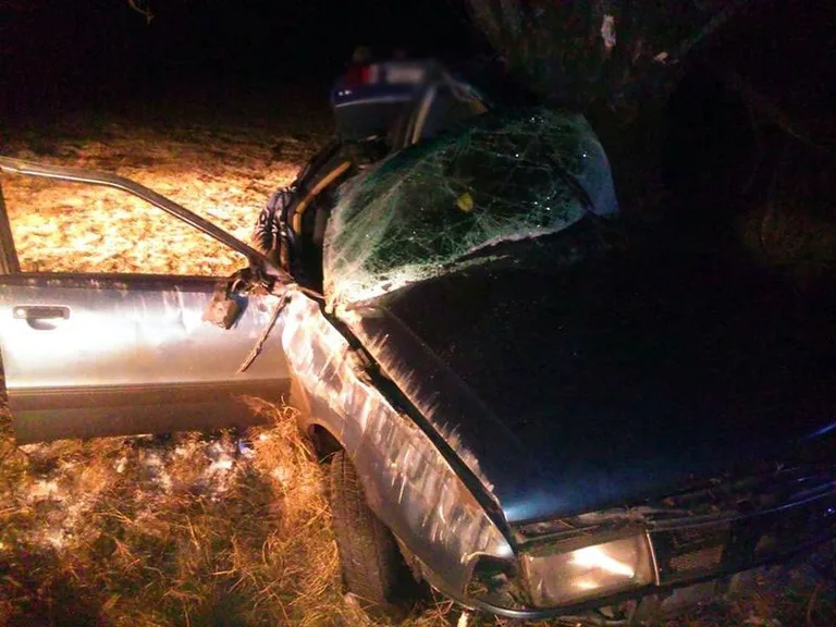 Jechał po pijanemu. Wylądował na drzewie (foto)