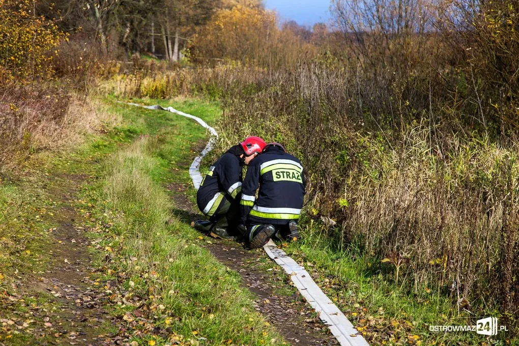 Ponad 400 strażaków gasiło pożar (zdjęcia, wideo)