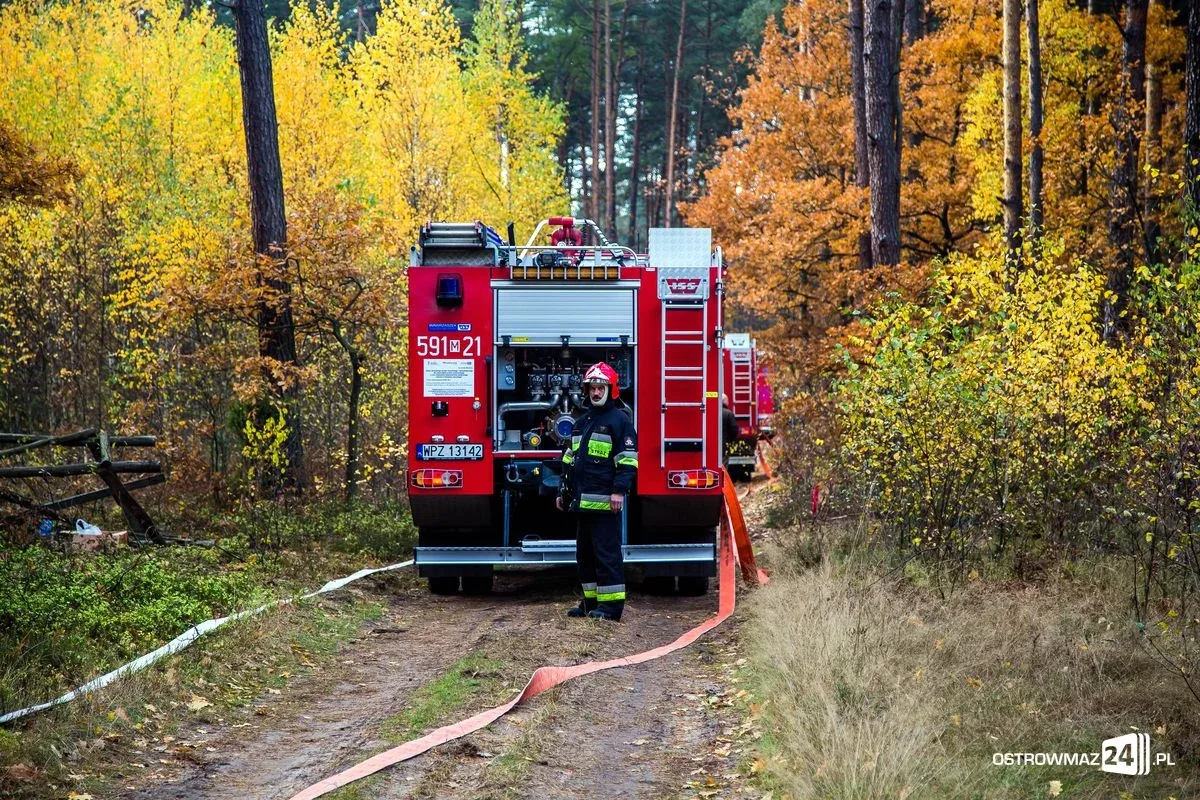 Ponad 400 strażaków gasiło pożar (zdjęcia, wideo)
