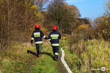 Poprzednie zdjęcie