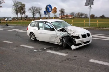 Następne zdjęcie