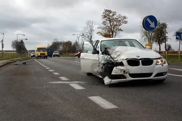 Poprzednie zdjęcie
