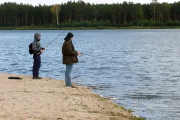 Następne zdjęcie