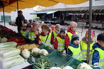 Poprzednie zdjęcie