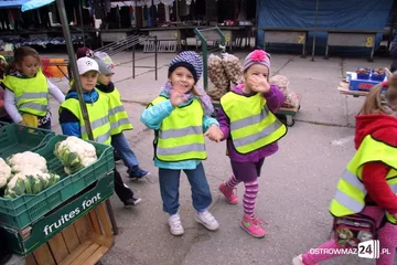 Następne zdjęcie