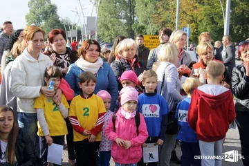 Następne zdjęcie