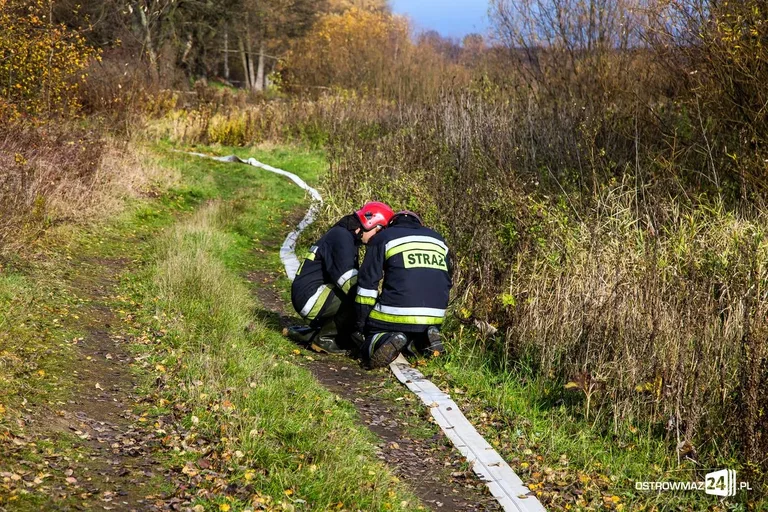 Ponad 400 strażaków gasiło pożar (zdjęcia, wideo)