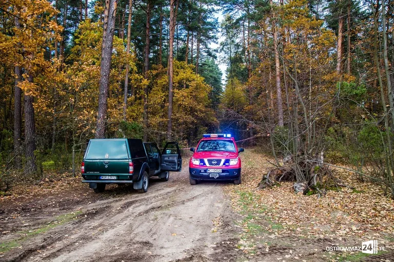 Ponad 400 strażaków gasiło pożar (zdjęcia, wideo)