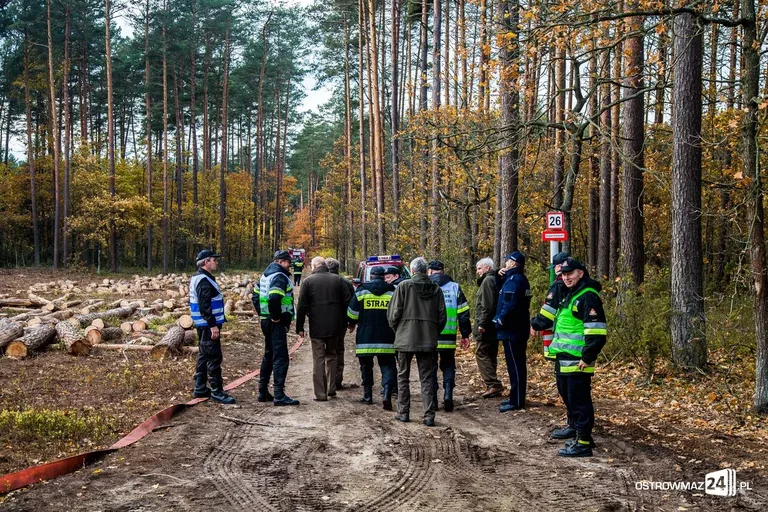 Ponad 400 strażaków gasiło pożar (zdjęcia, wideo)