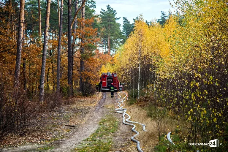 Ponad 400 strażaków gasiło pożar (zdjęcia, wideo)