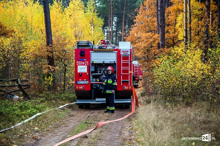 Ponad 400 strażaków gasiło pożar (zdjęcia, wideo)