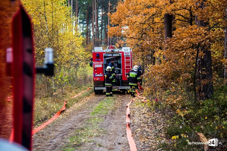 Ponad 400 strażaków gasiło pożar (zdjęcia, wideo)