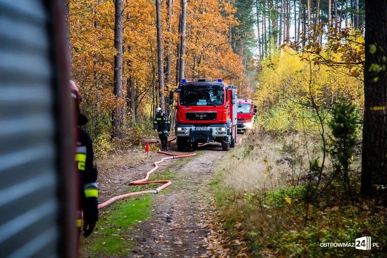 Ponad 400 strażaków gasiło pożar (zdjęcia, wideo)