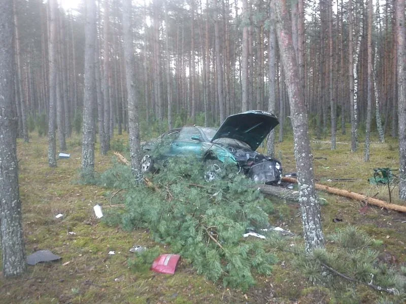 Rozbił auto na drzewie (zdjęcia)