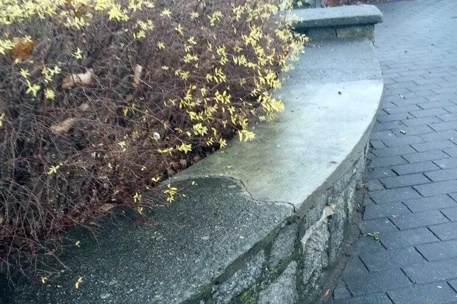 Trwa remont murku na Placu Wolności (zdjęcia)
