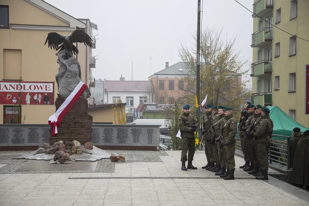 Uroczyste odsłonięcie pomnika ŻW (zdjęcia, wideo)