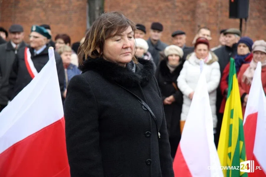 Miejskie obchody Święta Niepodległości (zdjęcia, wideo)