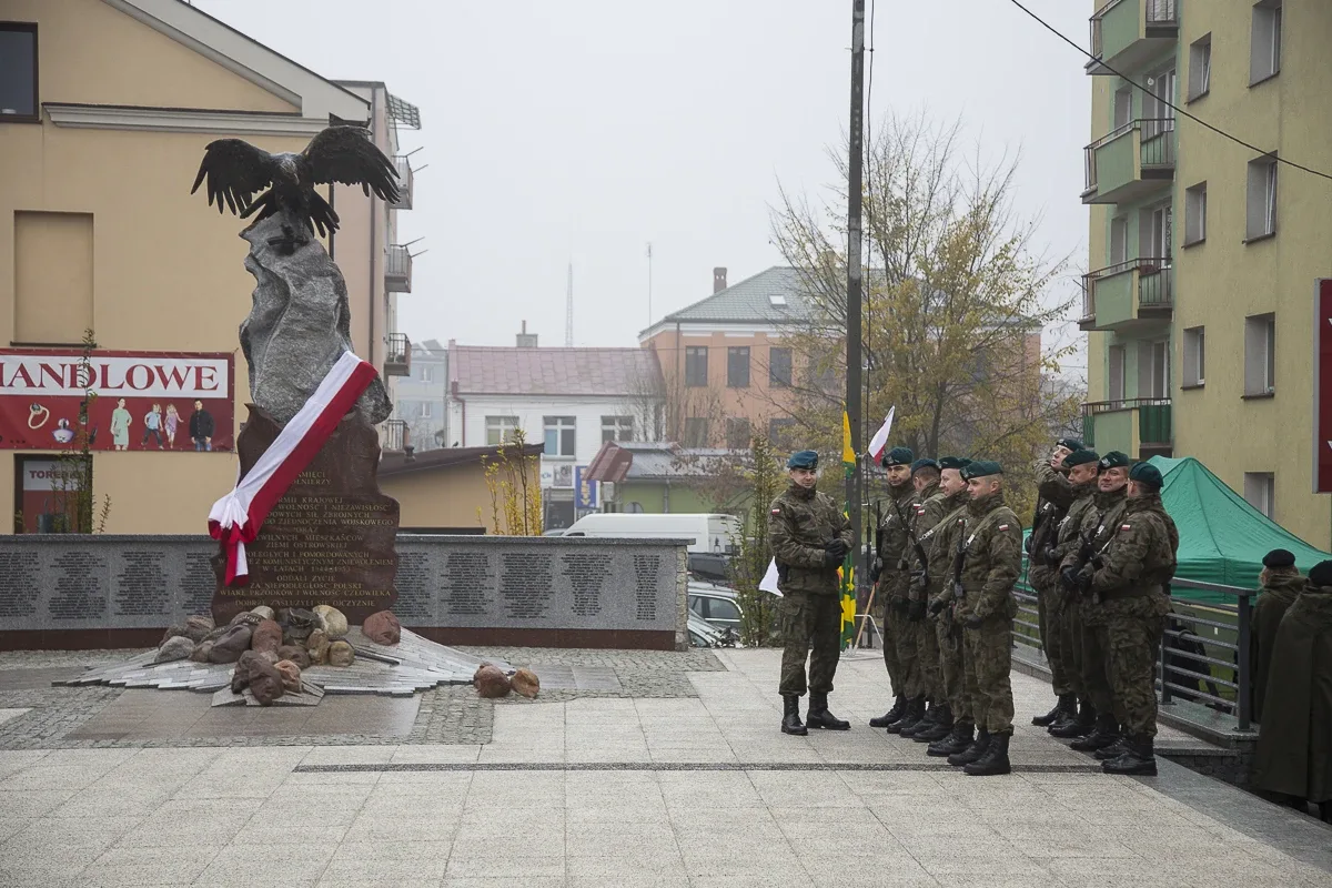 Uroczyste odsłonięcie pomnika ŻW (zdjęcia, wideo)