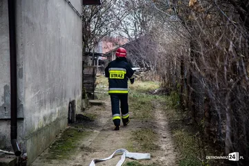 Poprzednie zdjęcie