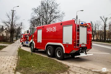 Następne zdjęcie