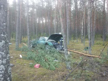 Poprzednie zdjęcie